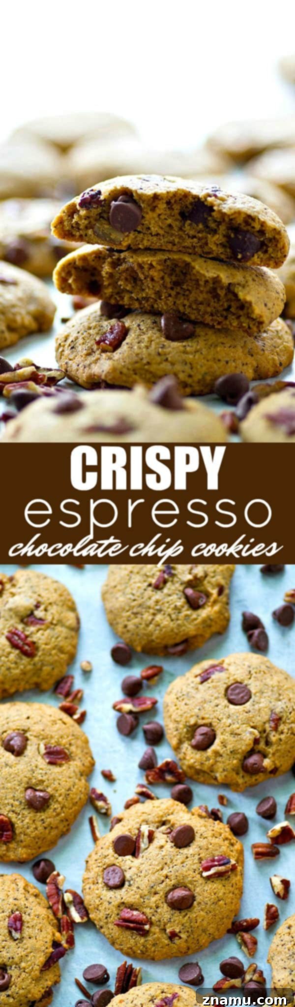 Espresso-Infused Crispy Chocolate Chip Cookies 6 Several crispy espresso chocolate chip cookies on a white plate, showcasing their inviting appearance.