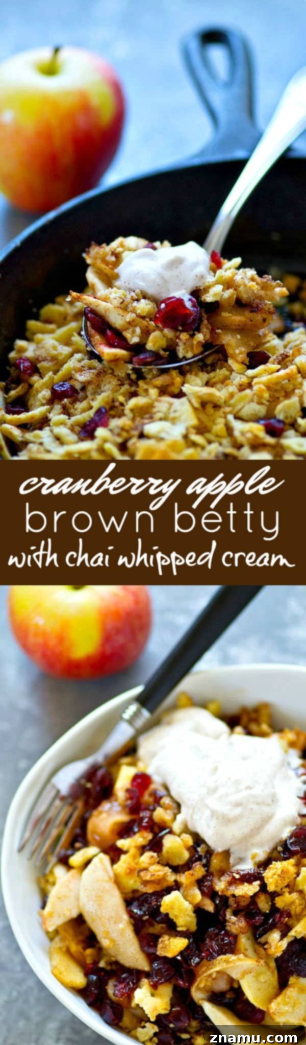 Warm Cranberry Apple Brown Betty with Spiced Chai Cream 6 A sweet apple cranberry filling is a match made in heaven with a buttery spiced cracker topping and piles of chai whipped cream on top in this classic apple brown betty!