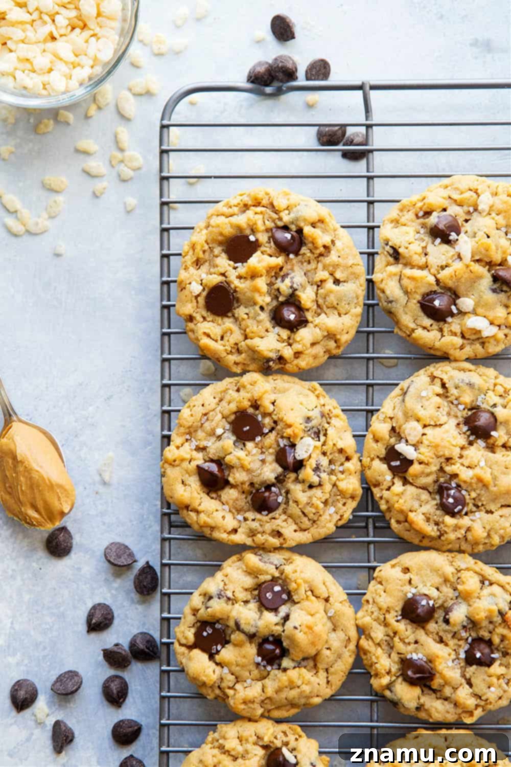 Peanut Butter Crunch Chocolate Chip Cookies 2 Creamy peanut butter, gooey chocolate, and crunchy cereal are an INCREDIBLE trio in these soft and chewy rice krispie chocolate chip cookies! Easy to whip up in only 20 minutes with a handful of ingredients.