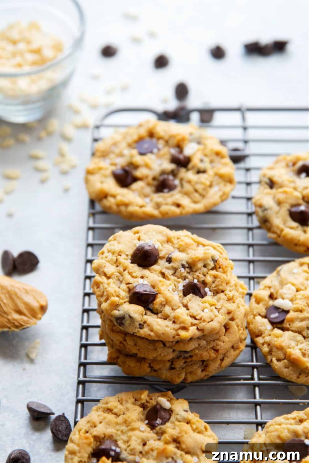 Peanut Butter Crunch Chocolate Chip Cookies 6 Creamy peanut butter, gooey chocolate, and crunchy cereal are an INCREDIBLE trio in these soft and chewy rice krispie chocolate chip cookies! Easy to whip up in only 20 minutes with a handful of ingredients.
