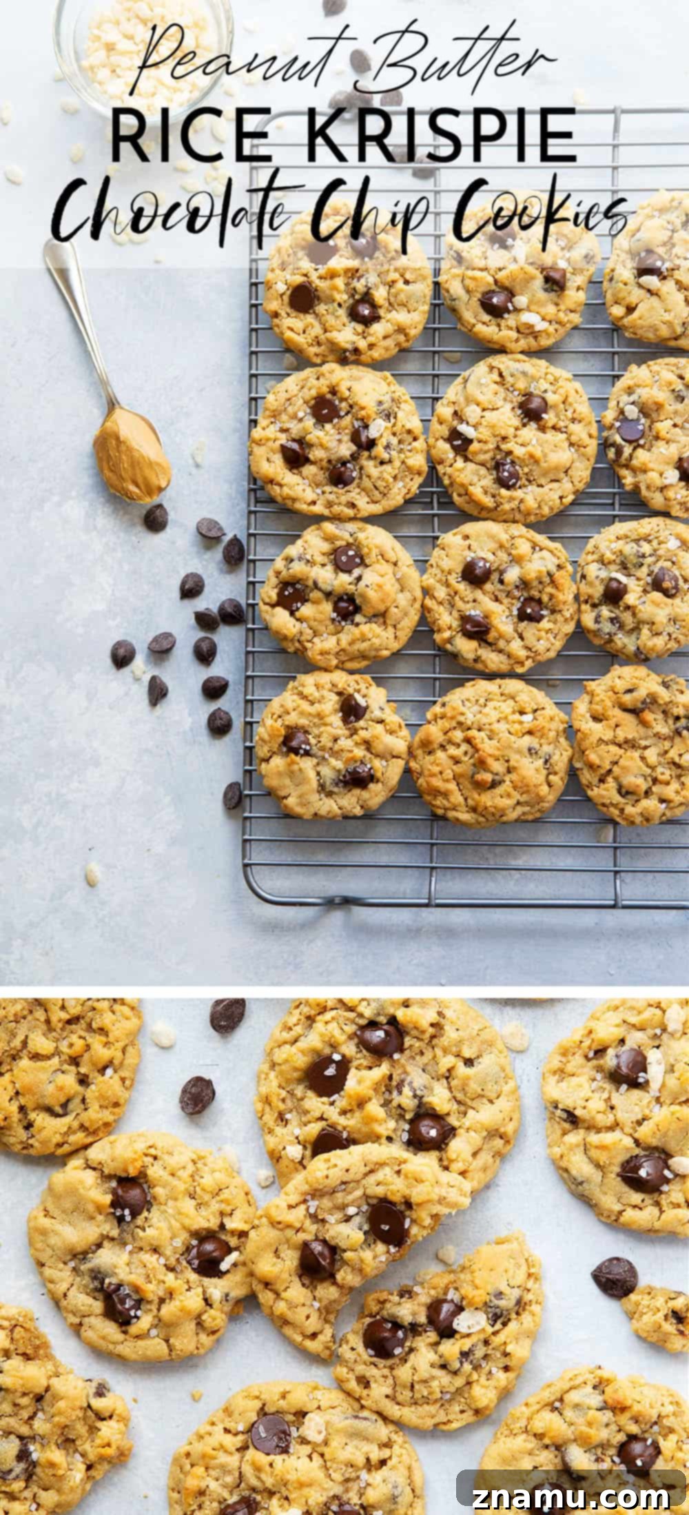 Peanut Butter Crunch Chocolate Chip Cookies 7 Creamy peanut butter, gooey chocolate, and crunchy cereal are an INCREDIBLE trio in these soft and chewy rice krispie chocolate chip cookies! Easy to whip up in only 20 minutes with a handful of ingredients.