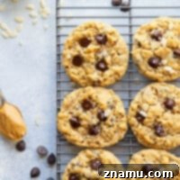 Peanut Butter Crunch Chocolate Chip Cookies 8 Creamy peanut butter, gooey chocolate, and crunchy cereal are an INCREDIBLE trio in these soft and chewy rice krispie chocolate chip cookies! Easy to whip up in only 20 minutes with a handful of ingredients.