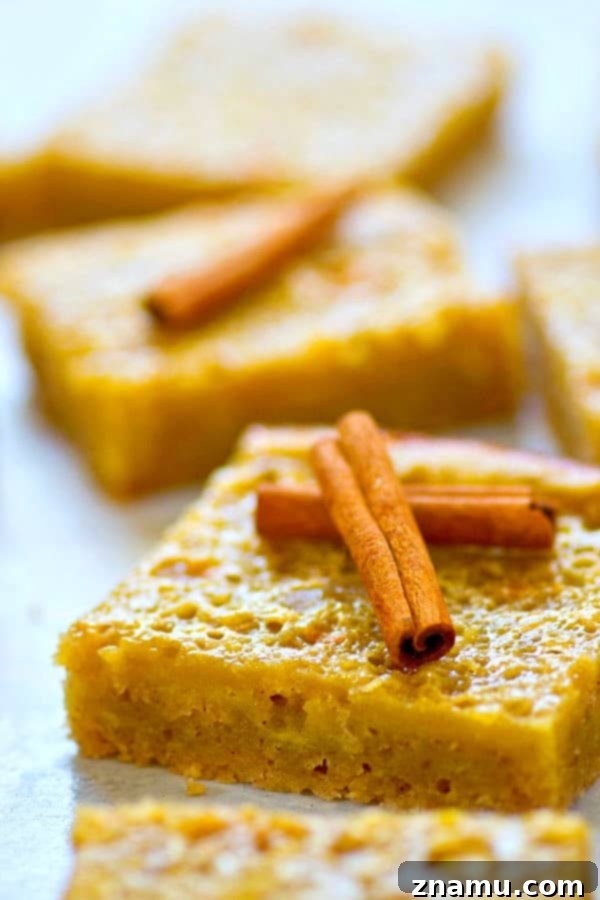 Tangy Apple Cider Custard Shortbread Bars 3 Close-up of a stack of Apple Cider Custard Bars showing the distinct layers