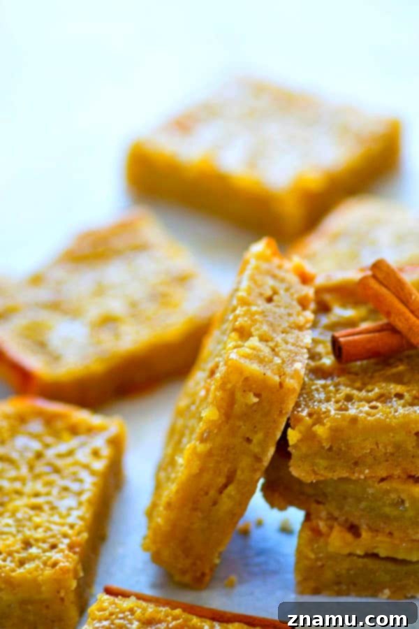 Tangy Apple Cider Custard Shortbread Bars 4 Freshly baked Apple Cider Shortbread Custard Bars cooling on a rack