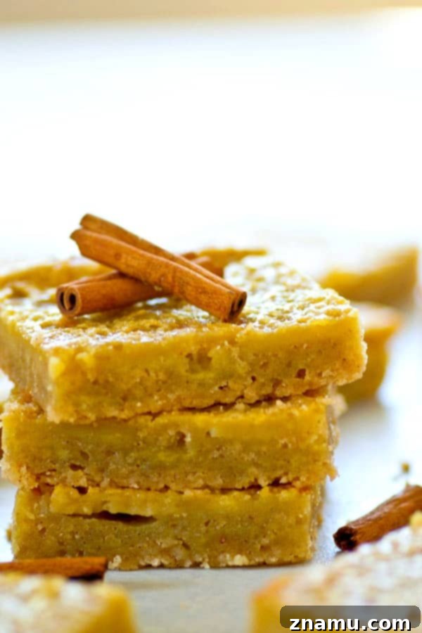 Tangy Apple Cider Custard Shortbread Bars 5 Perfectly sliced Apple Cider Custard Bars arranged on a serving plate