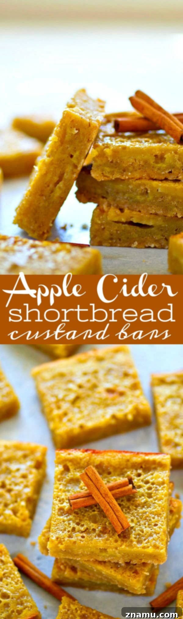Tangy Apple Cider Custard Shortbread Bars 6 Multiple Apple Cider Shortbread Custard Bars in various angles for a full visual