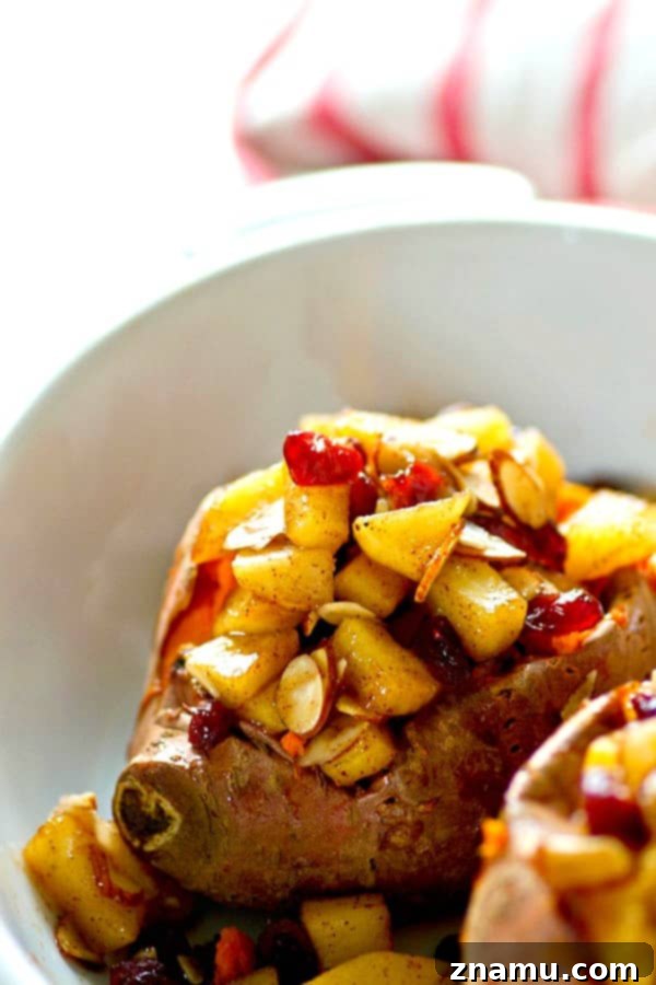 Harvest Stuffed Cranberry Apple Sweet Potatoes 3 Close-up of a single twice-baked sweet potato overflowing with a golden-brown apple and cranberry topping.