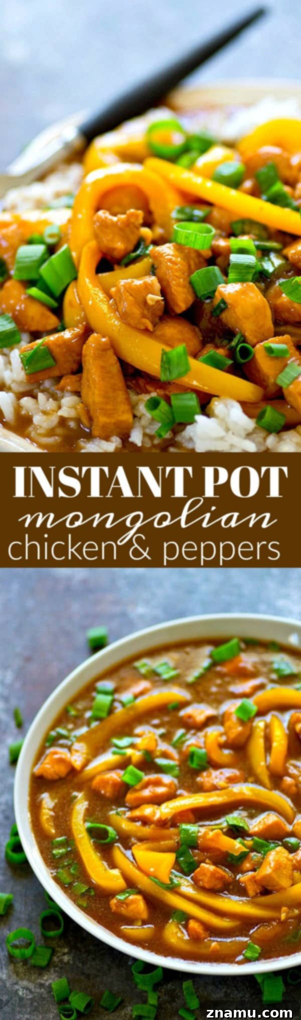 Savory Instant Pot Mongolian Chicken with Peppers 6 Overhead shot of a full plate of Instant Pot Mongolian Chicken and Peppers with rice and garnishes