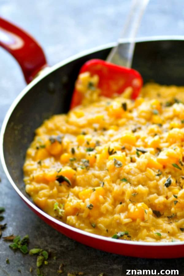 Ultra-creamy and packed with soft butternut squash and three cheeses, this butternut squash sage risotto is easy weeknight comfort food that comes together in only 30!