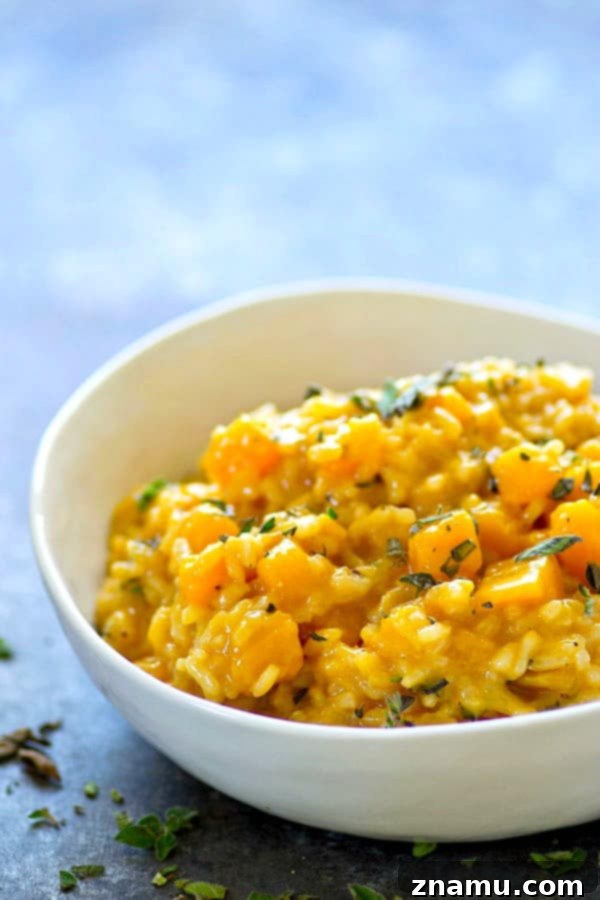 Ultra-creamy and packed with soft butternut squash and three cheeses, this butternut squash sage risotto is easy weeknight comfort food that comes together in only 30!