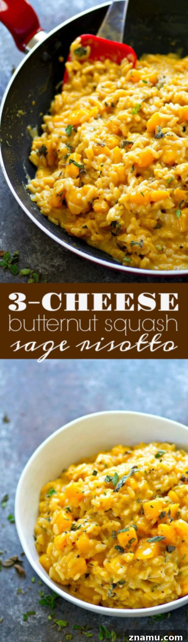 Ultra-creamy and packed with soft butternut squash and three cheeses, this butternut squash sage risotto is easy weeknight comfort food that comes together in only 30!