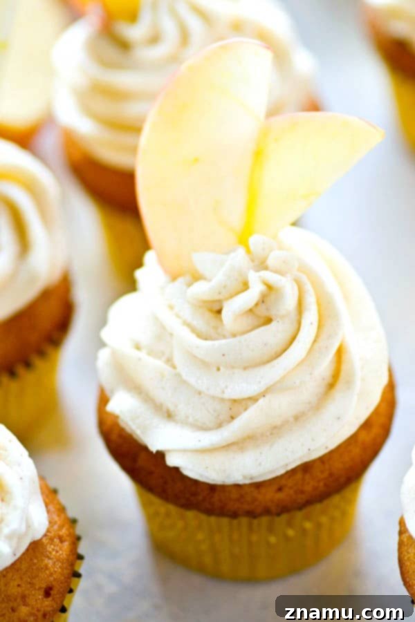 Apple Cider Cupcakes with Maple Buttercream 2 Delicious spiced apple cider cupcakes topped with maple frosting, ready for a fall gathering.