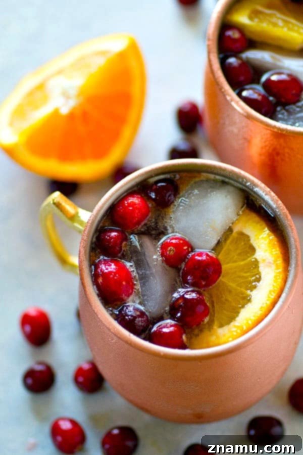 Crimson Citrus Copper Mule 3 Close-up of a beautifully garnished Cranberry Orange Moscow Mule in a traditional copper mug, showcasing the festive colors and freshness.