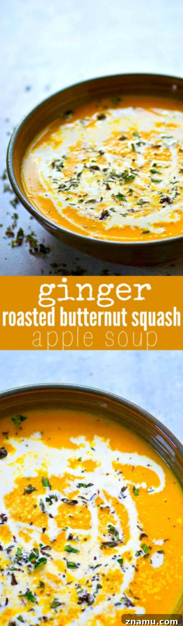 Comforting Ginger Roasted Butternut Squash and Apple Soup 6 Five bowls of creamy ginger-roasted butternut squash apple soup, ready to be served, showcasing the rich color and inviting texture.
