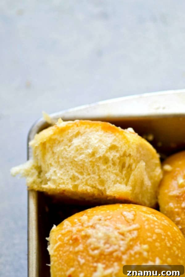Asiago Roasted Garlic Cornmeal Buns 5 Cross-section view of a roasted garlic asiago cornmeal dinner roll, showing its incredibly fluffy and airy interior.