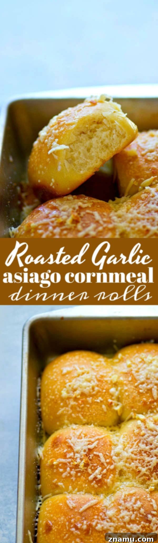 Asiago Roasted Garlic Cornmeal Buns 6 A panoramic shot of a baking sheet filled with perfectly golden-brown roasted garlic asiago cornmeal dinner rolls, fresh out of the oven.