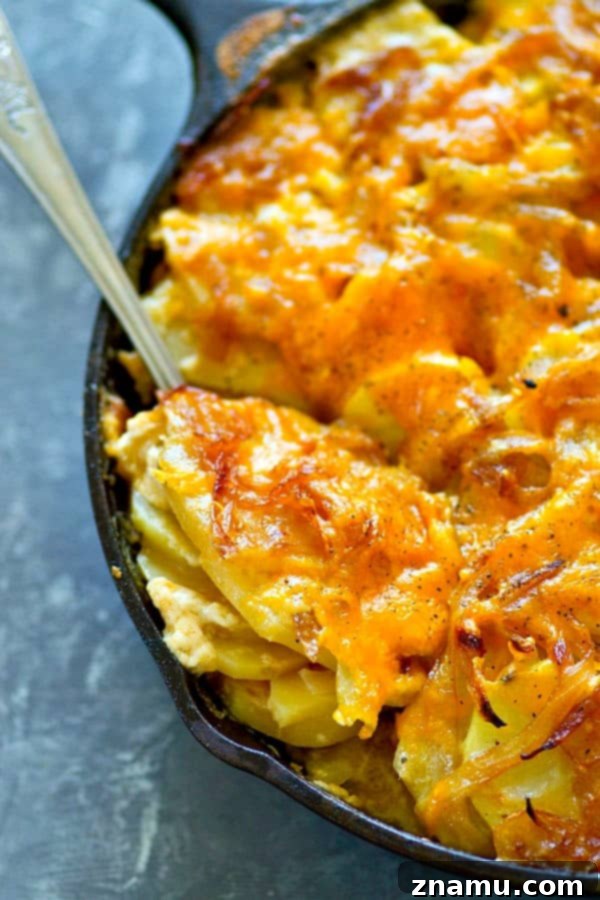 Smoked Cheddar and Caramelized Onion Potato Gratin 2 Rich and creamy smoked cheddar caramelized onion scalloped potatoes, a perfect holiday side dish