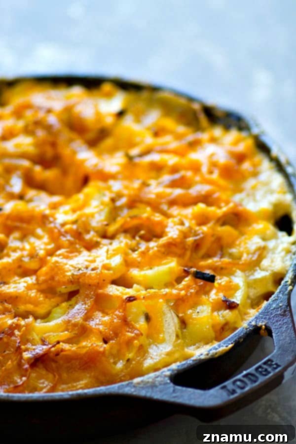 Smoked Cheddar and Caramelized Onion Potato Gratin 3 Layered scalloped potatoes with smoked cheddar and caramelized onions before baking