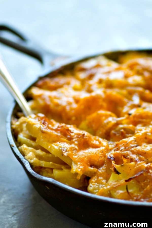 Smoked Cheddar and Caramelized Onion Potato Gratin 4 Close-up of caramelized onions, a key ingredient for flavorful scalloped potatoes