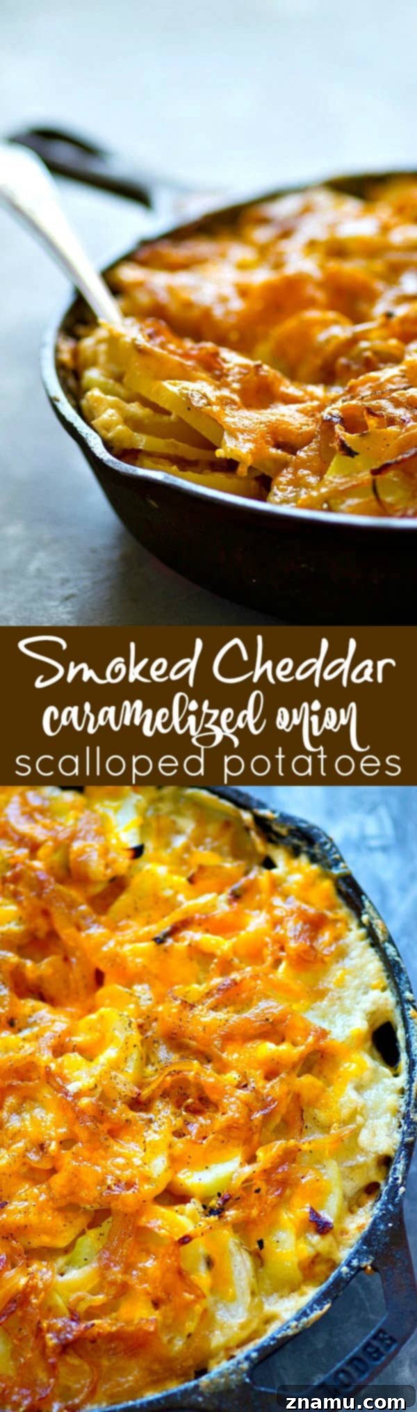 Smoked Cheddar and Caramelized Onion Potato Gratin 6 A serving of creamy smoked cheddar scalloped potatoes on a plate, ready to enjoy