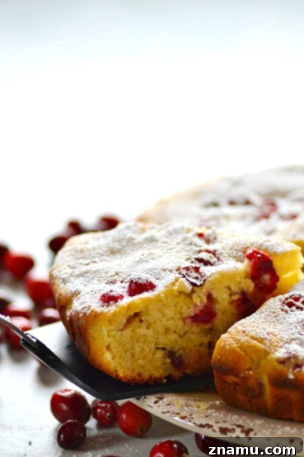 Chai-Spiced Cranberry Ricotta Delight 2 A beautifully sliced Cranberry Chai Spice Ricotta Cake on a serving plate, dusted with powdered sugar and garnished with fresh cranberries, highlighting its moist texture and vibrant color. The perfect centerpiece for your holiday dessert table.
