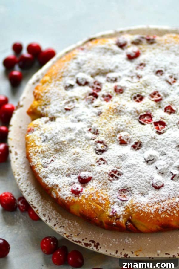 Chai-Spiced Cranberry Ricotta Delight 3 A close-up shot of the Cranberry Chai Spice Ricotta Cake batter being mixed in a bowl, showcasing the vibrant red cranberries and the rich, creamy texture before baking. Preparation for a delightful holiday treat.