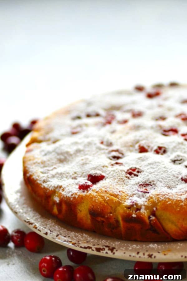 Chai-Spiced Cranberry Ricotta Delight 4 A top-down view of a freshly baked Cranberry Chai Spice Ricotta Cake, golden brown and perfectly risen, cooling on a wire rack before its final dusting of powdered sugar. The aroma fills the kitchen.