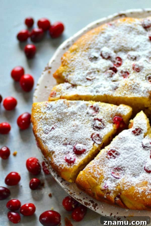 Chai-Spiced Cranberry Ricotta Delight 5 A close-up shot of a slice of Cranberry Chai Spice Ricotta Cake, revealing the soft, moist crumb, the plump cranberries, and the subtle spices. It's garnished with a sprinkle of powdered sugar, ready to be enjoyed.