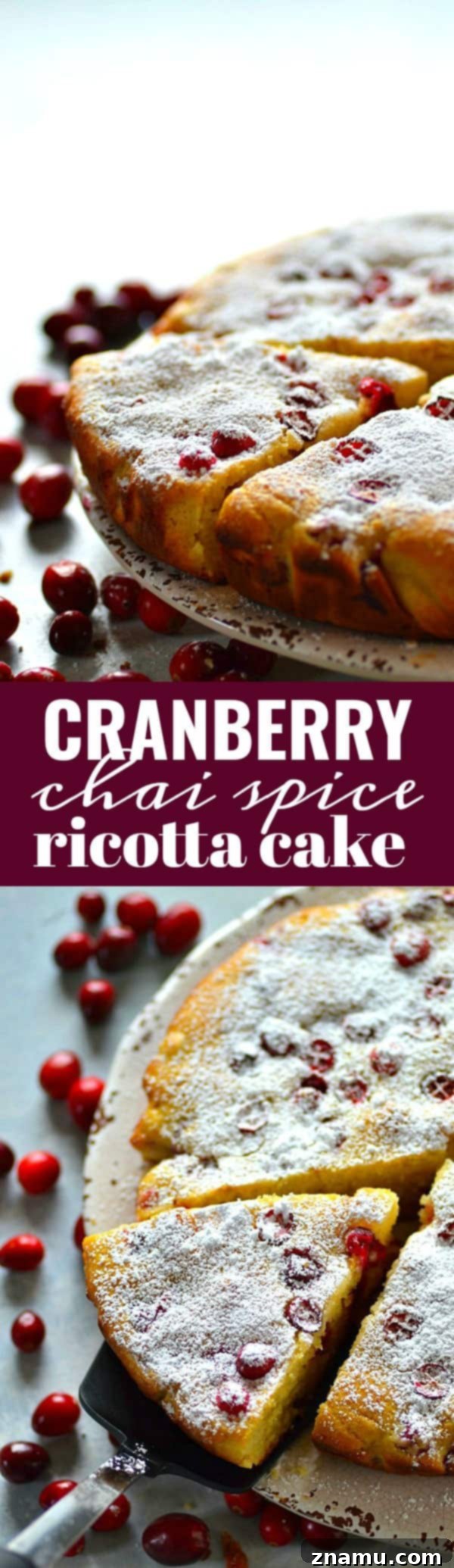 Chai-Spiced Cranberry Ricotta Delight 6 A stunning overhead view of the complete Cranberry Chai Spice Ricotta Cake, meticulously dusted with powdered sugar and surrounded by loose cranberries, showcasing its festive appeal and rustic elegance.