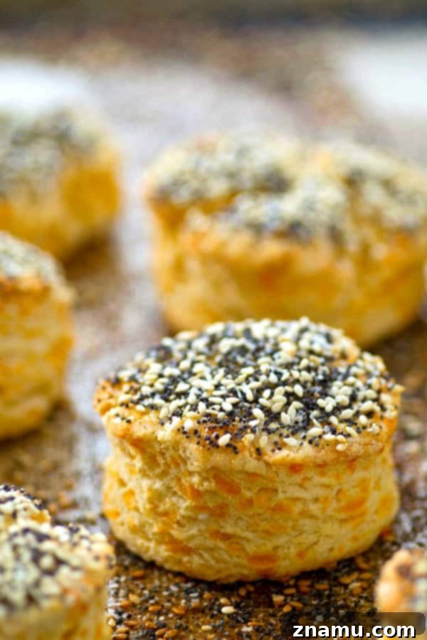 Loaded Everything Bagel Cheddar Bay Biscuits 3 Close-up of a warm, flaky Everything Bagel Cheddar Bay Biscuit, showing its texture.