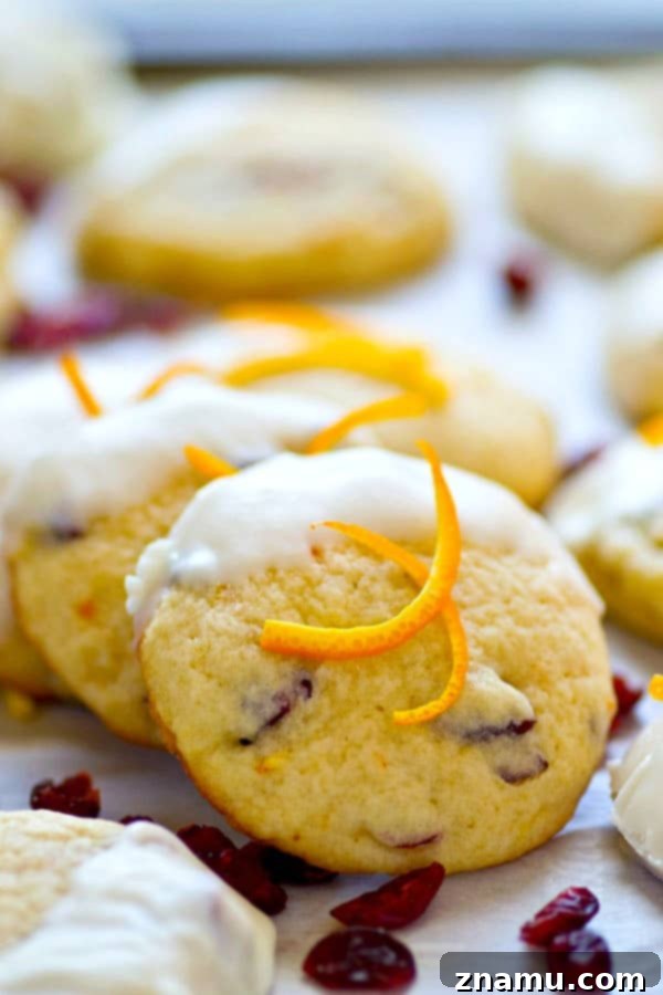 Close-up of a perfectly baked white chocolate cranberry orange sugar cookie, featuring its soft texture and the vibrant mix of ingredients.