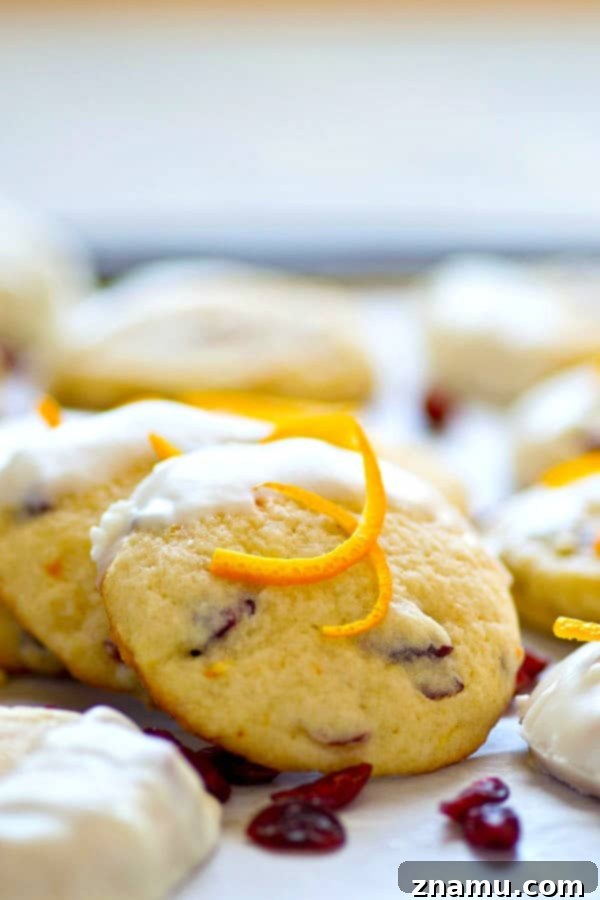 A selection of baked cranberry orange sugar cookies, some dipped in white chocolate, ready to be enjoyed as a festive treat.