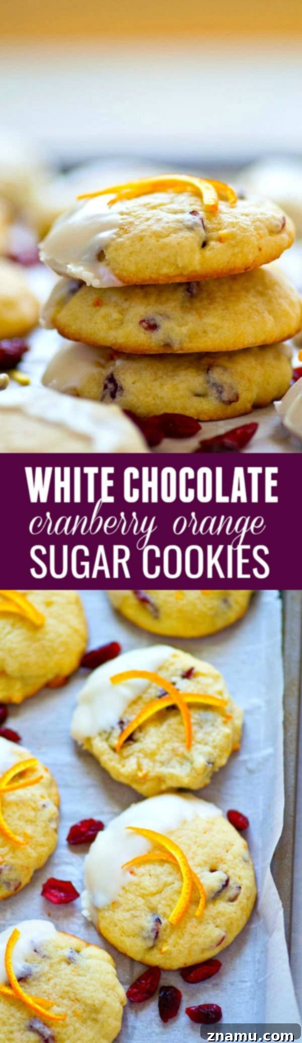 A delectable close-up of a white chocolate cranberry orange sugar cookie, showcasing the intricate textures and the inviting blend of colors.