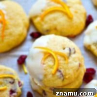 A single white chocolate cranberry orange sugar cookie, dipped and decorated, ready for enjoyment.