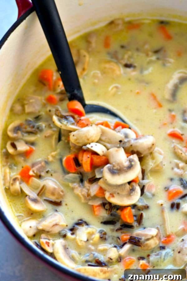 Hearty Creamy Chicken Mushroom Wild Rice Soup 2 A warm, steaming bowl of creamy chicken mushroom wild rice soup, garnished with fresh herbs, perfect for a cozy winter evening.