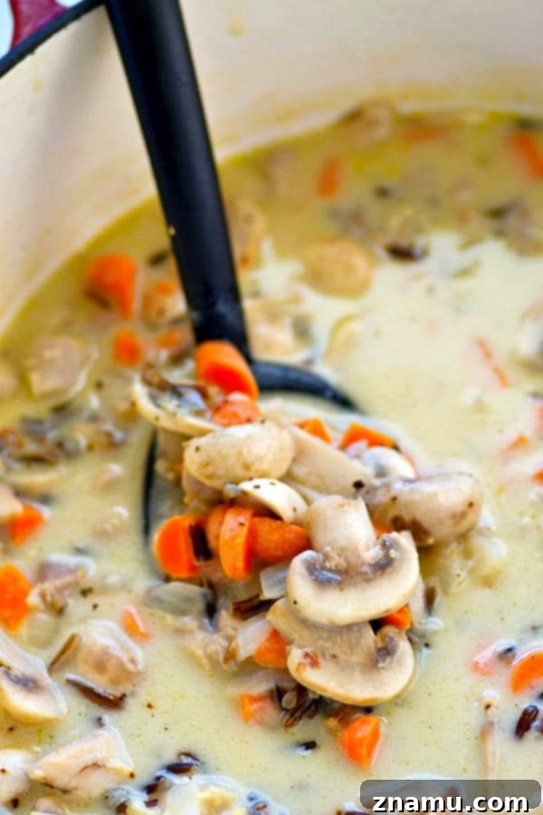 Hearty Creamy Chicken Mushroom Wild Rice Soup 5 A spoon dipping into a thick, creamy chicken mushroom wild rice soup, showing the rich texture and ample ingredients.