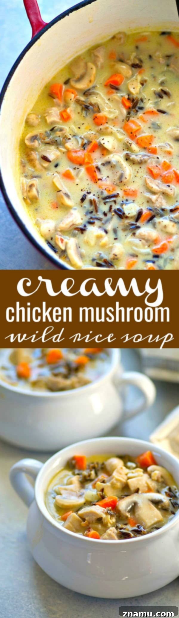 Hearty Creamy Chicken Mushroom Wild Rice Soup 6 Overhead shot of a full pot of creamy chicken mushroom wild rice soup, served in a rustic bowl with a side of crusty bread, ready for a comforting meal.