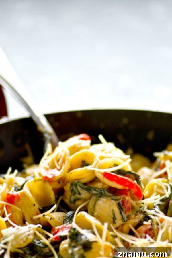 A close-up of a serving spoon scooping the creamy orechiette pasta, highlighting the texture of the sauce and pasta shape.