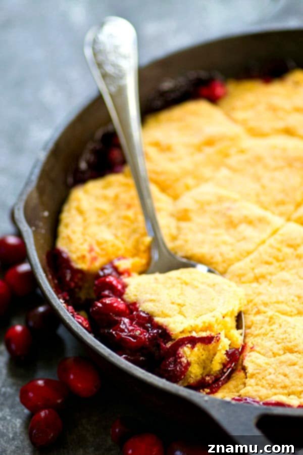 Tart Cranberry Browned Butter Cornmeal Cobbler 2 A close-up shot of a vibrant Cranberry Browned Butter Cornmeal Cobbler, showcasing the rich, golden-brown topping and juicy, red cranberries.