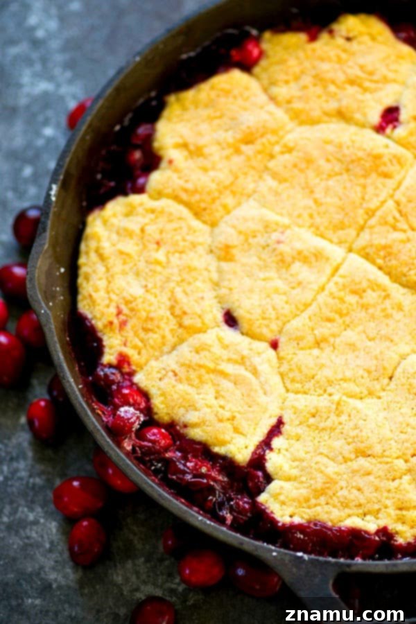 Tart Cranberry Browned Butter Cornmeal Cobbler 3 An overhead view of the Cranberry Browned Butter Cornmeal Cobbler, highlighting the texture of the cornmeal topping and the generous amount of cranberries.