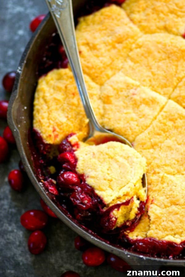 Tart Cranberry Browned Butter Cornmeal Cobbler 4 A spoonful of Cranberry Browned Butter Cornmeal Cobbler being lifted from the baking dish, showing the gooey cranberry filling and the crumbly, golden topping.