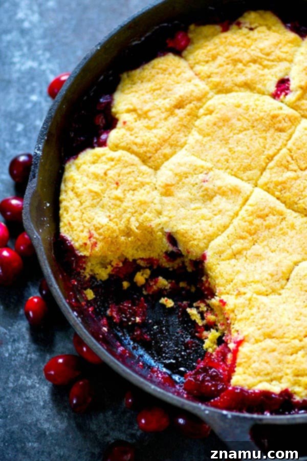Tart Cranberry Browned Butter Cornmeal Cobbler 5 A wider shot of the Cranberry Browned Butter Cornmeal Cobbler in a rustic baking dish, ready to be served.