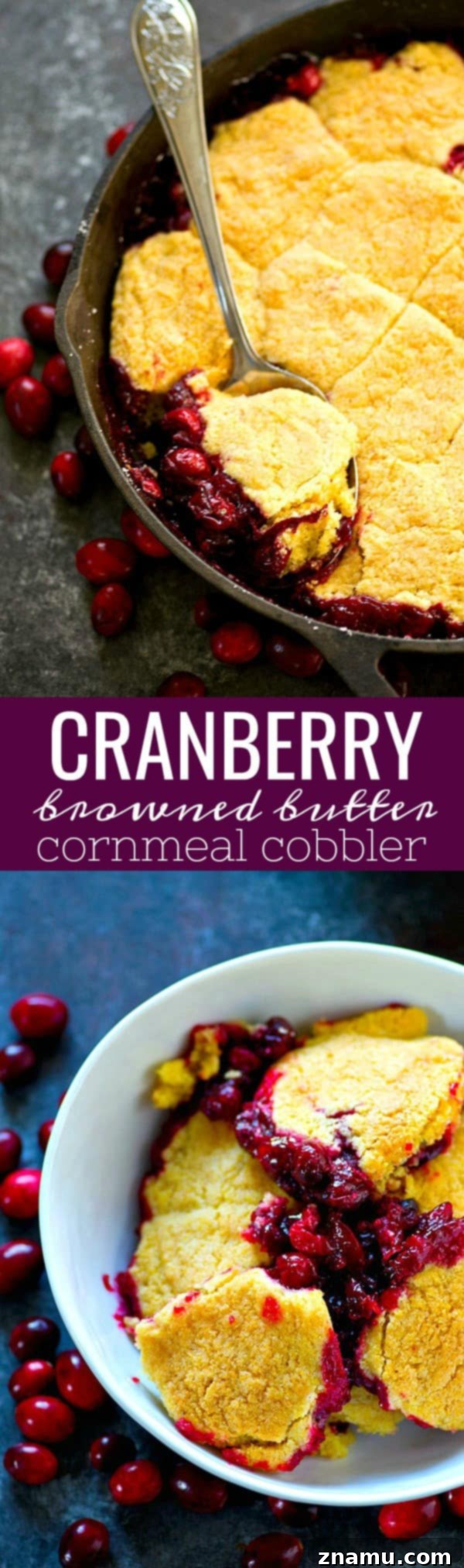 Tart Cranberry Browned Butter Cornmeal Cobbler 6 A final, artistic shot of the Cranberry Browned Butter Cornmeal Cobbler, emphasizing its appeal and golden-brown perfection.