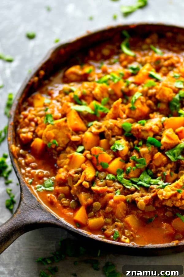 Harvest Gold Chicken Curry 2 A vibrant bowl of Lentil Delicata Squash Chicken Curry served over rice, garnished with fresh parsley.