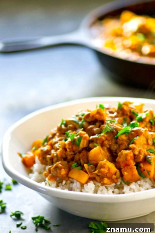 Harvest Gold Chicken Curry 3 Close-up shot of the creamy Lentil Delicata Squash Chicken Curry, showing tender chicken pieces and colorful squash.