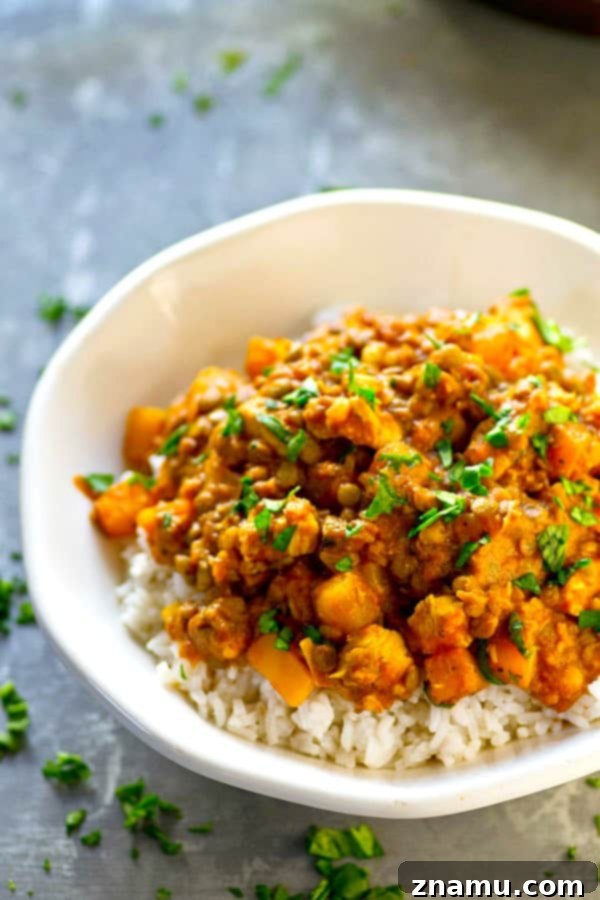 Harvest Gold Chicken Curry 5 A serving of Lentil Delicata Squash Chicken Curry in a bowl, ready to be enjoyed with rice.