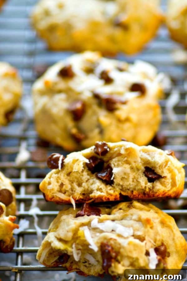 Deliciously soft banana bread chocolate chip coconut breakfast cookies ready to be enjoyed.