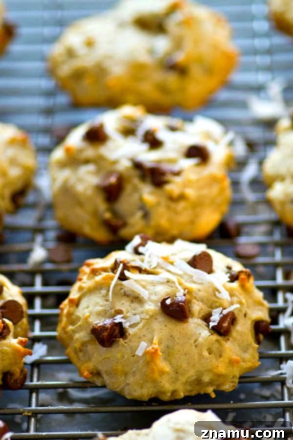 Close-up of freshly baked banana bread chocolate chip coconut breakfast cookies, showcasing their soft texture.