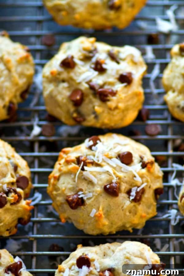 A close-up of a hand holding a freshly baked banana bread chocolate chip coconut breakfast cookie.
