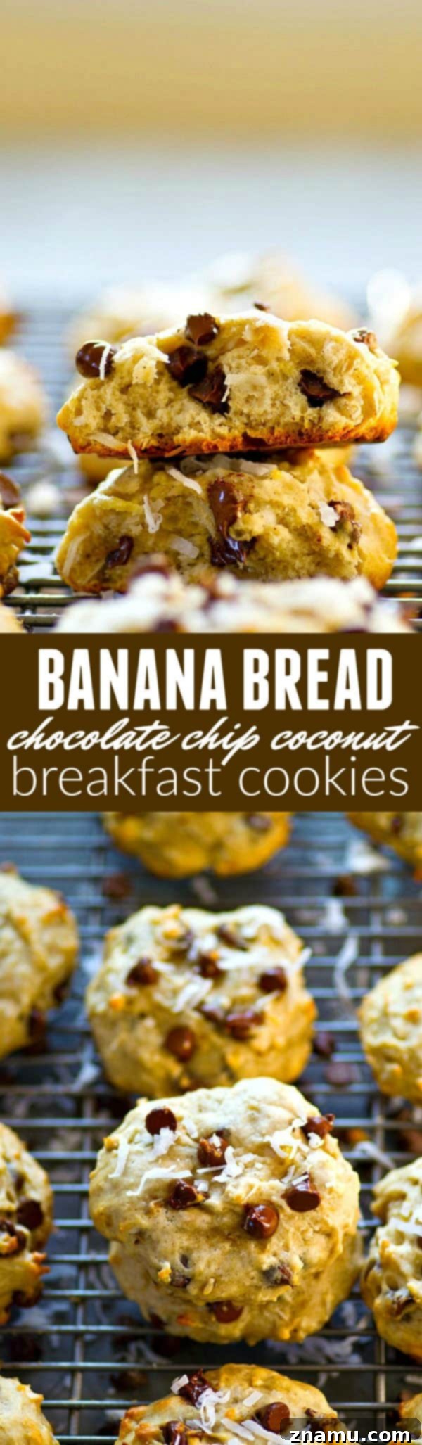 A variety of banana bread chocolate chip coconut breakfast cookies arranged artfully.
